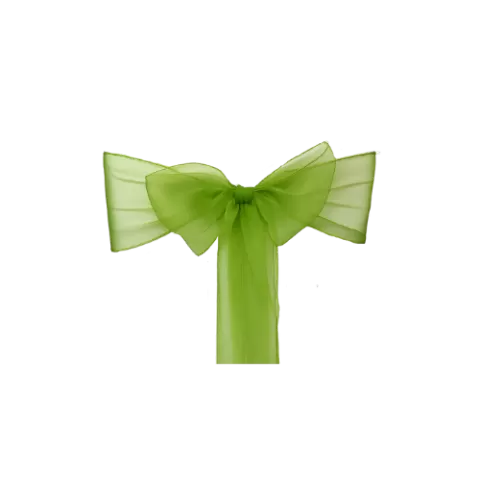 Organza-Schleifenband Lindgrün (Neuware)