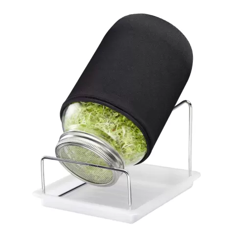 Sprossenglas-Set, 1 Glas
